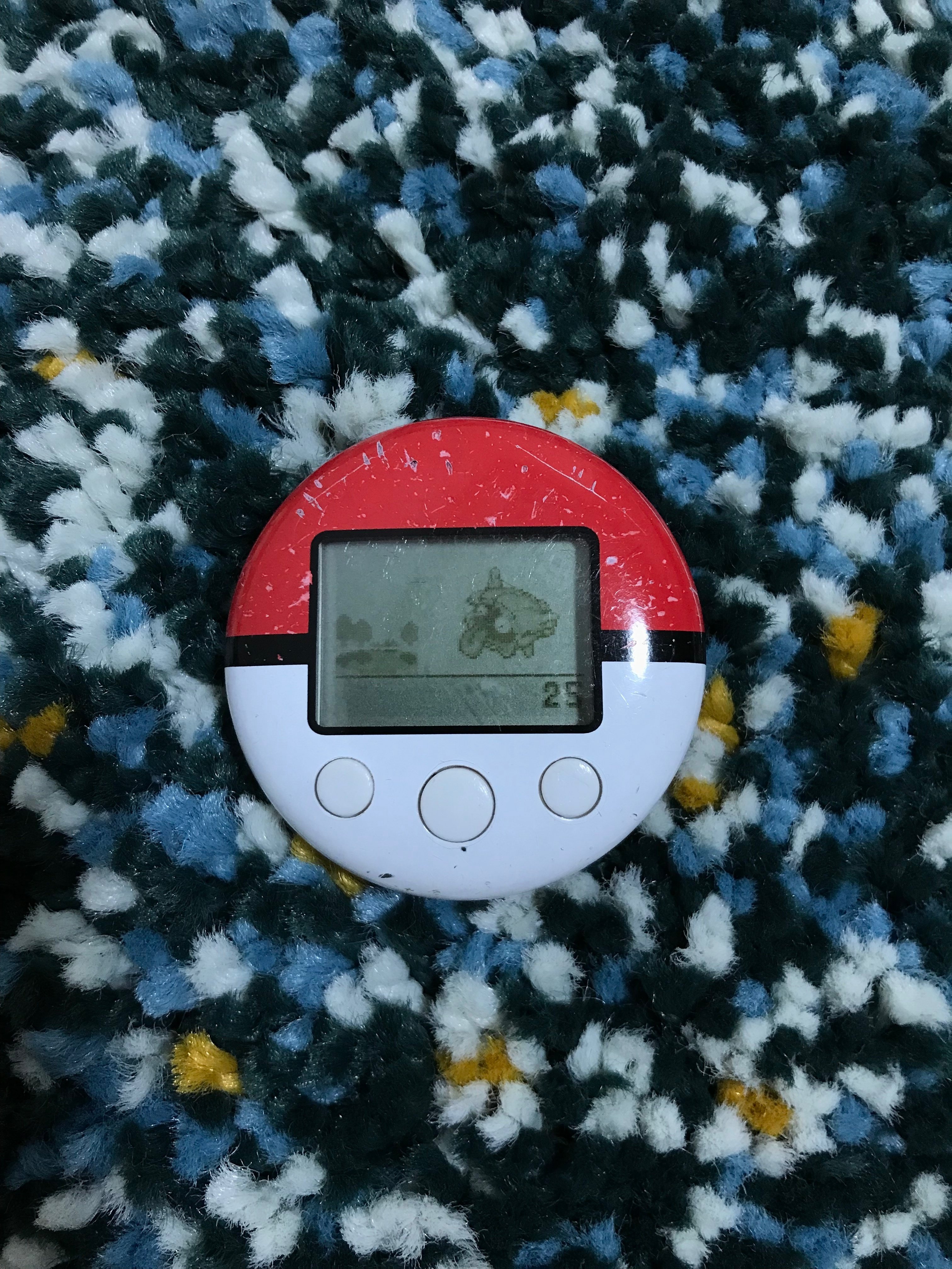 2024年3月6日 ポケウォーカー騒動｜紺野 透