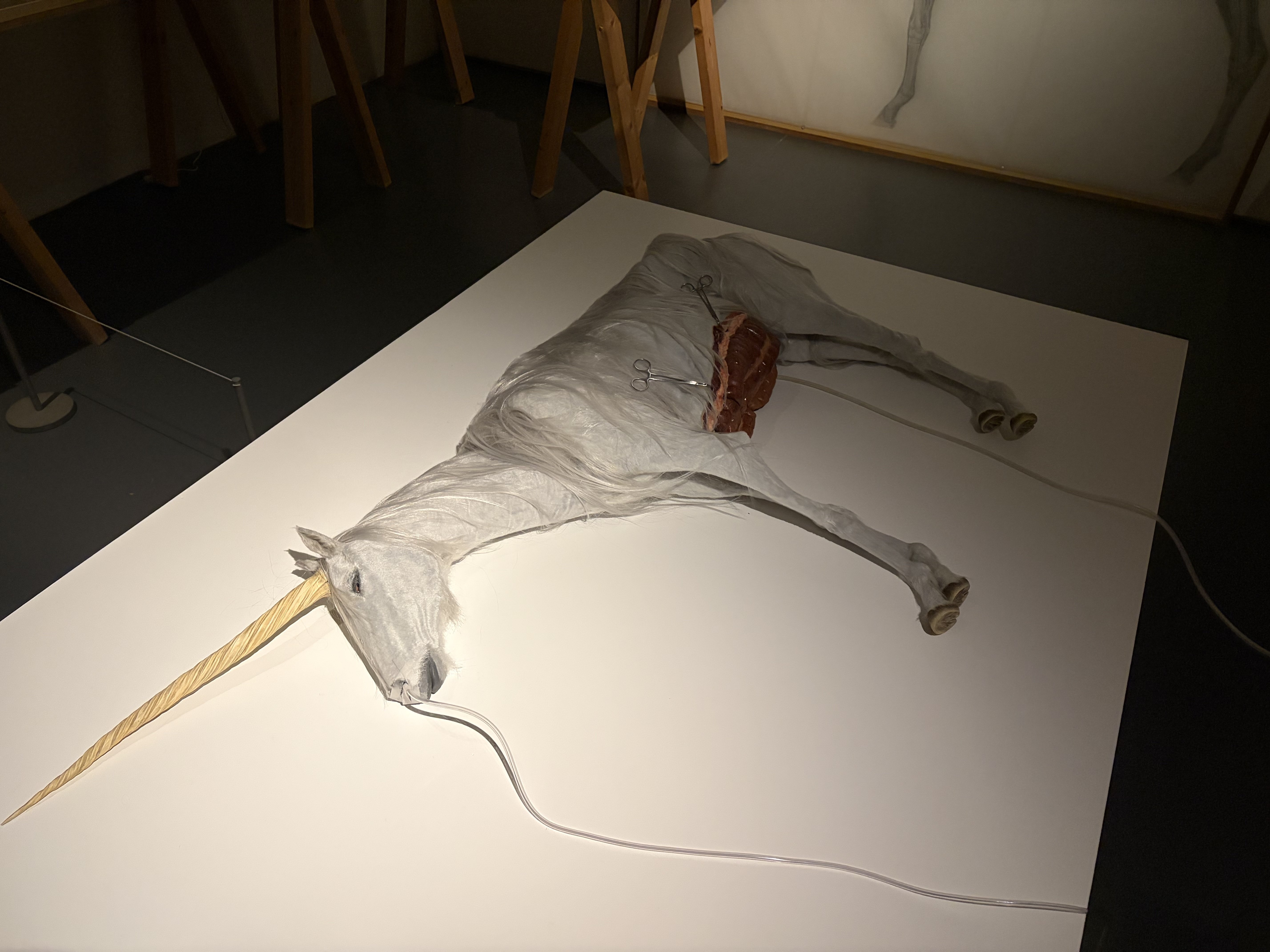 平野真美作『蘇生するユニコーン』を観て｜鯨ヶ岬勇士