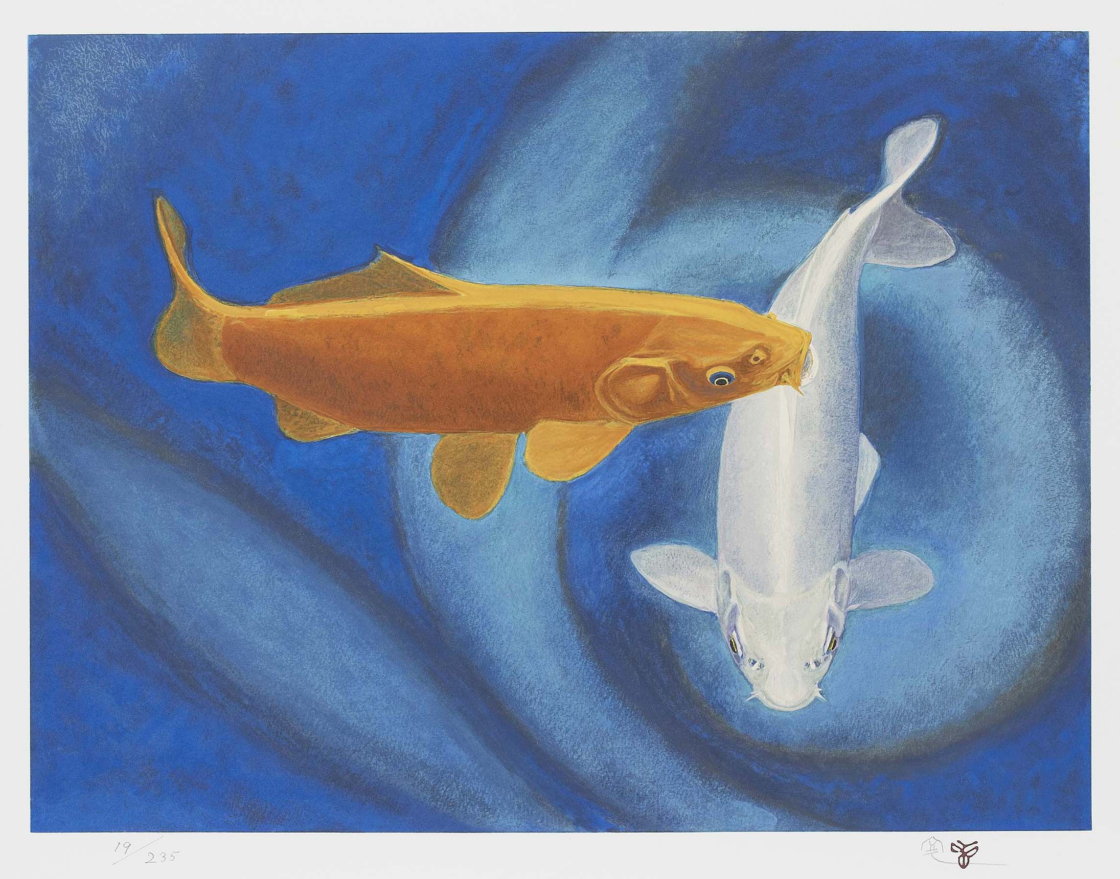 杉山寧『 鯉「浹」』 | リトグラフ | 日経アート