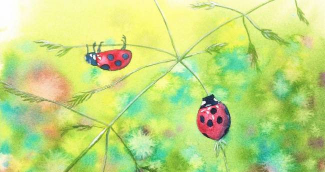 てんとう虫むし | アートの輪