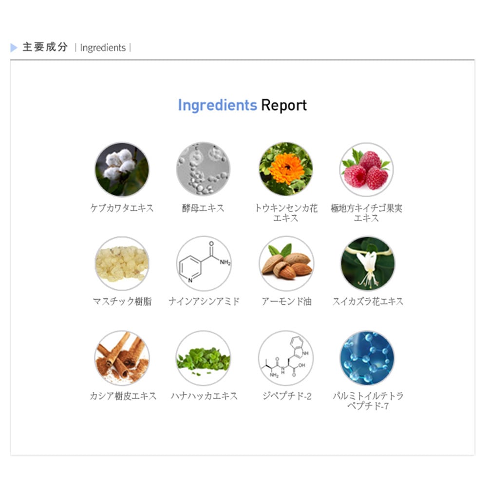 Rene-Cell】ルネセル アブソーバー ペプチドクリーム 50ml [ルネセル