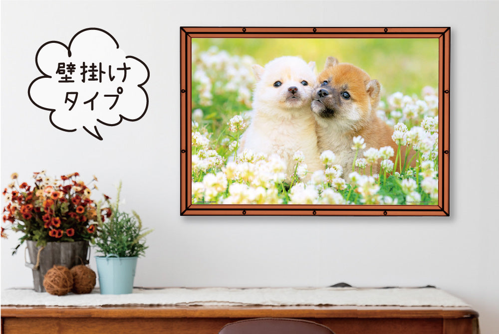 スマートフレーム 38×26cm クリアブラウン – BEVERLY