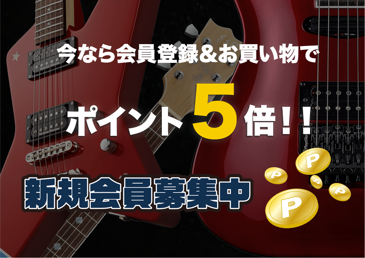 Seymour Duncan(セイモアダンカン) for Jazzmaster Vintage [SJM-1n