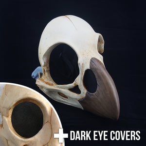 Bird Skull Mask – Bueshang's Creations
