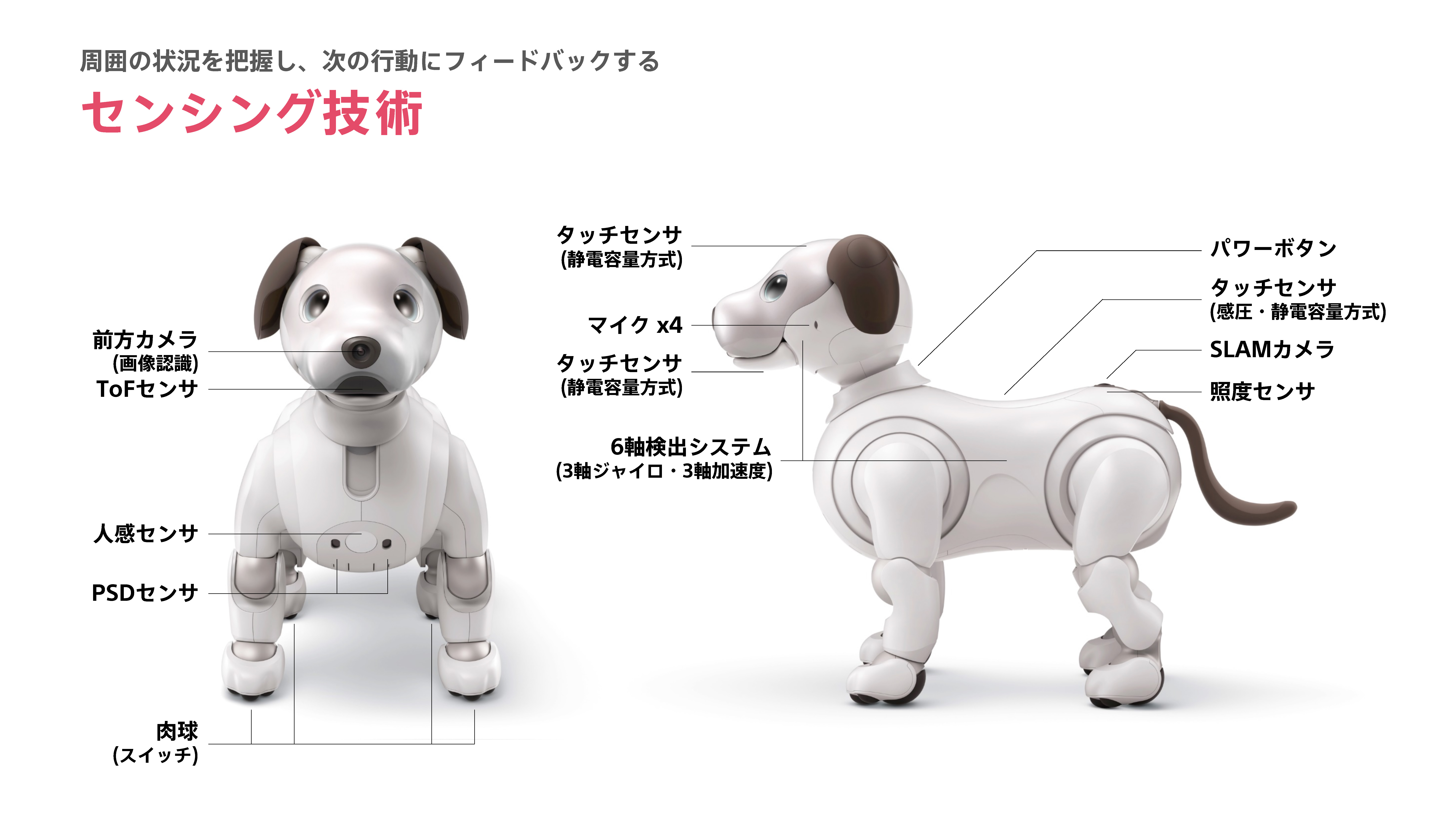 NEXT FIELD 3：愛くるしさ溢れる新生「aibo」〜動きに