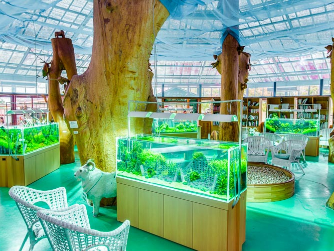 時之栖水中楽園AQUARIUM入館チケット】◇日本最大級の金魚水族館