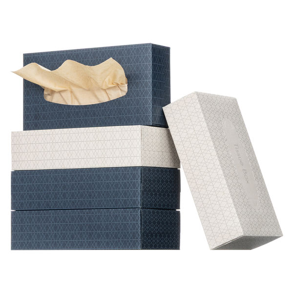 ティッシュペーパー ボックスティッシュ 未晒し 200組（5箱入