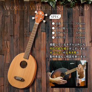 ヤイリギター 一五一会 奏生（アコースティックギター）【0025-001