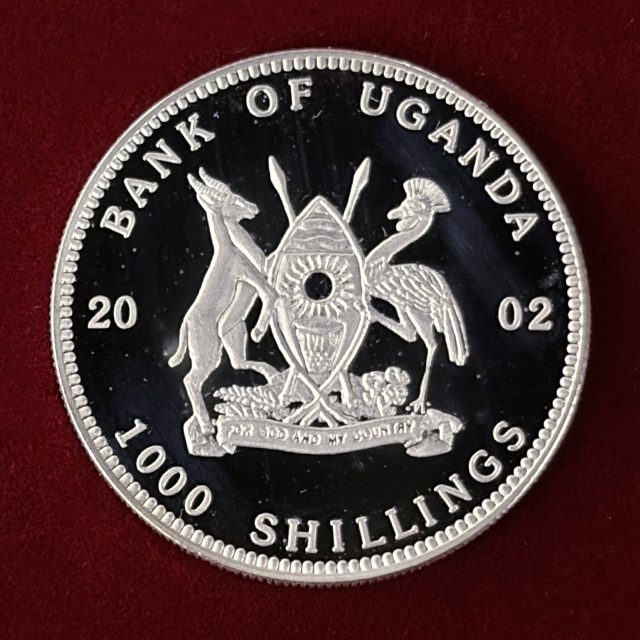 アフリカ – ワールドコインズ・ジャパン