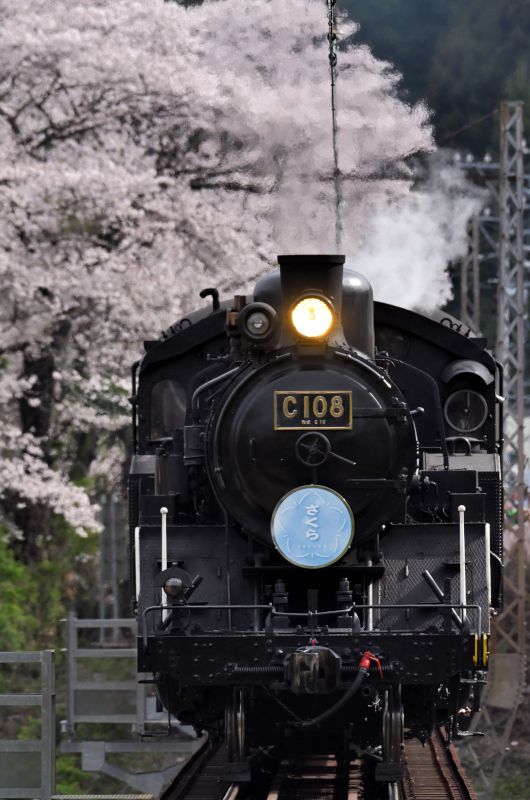 大井川鐵道創立100周年記念フォトコンテスト 受賞作品発表【受賞作品は