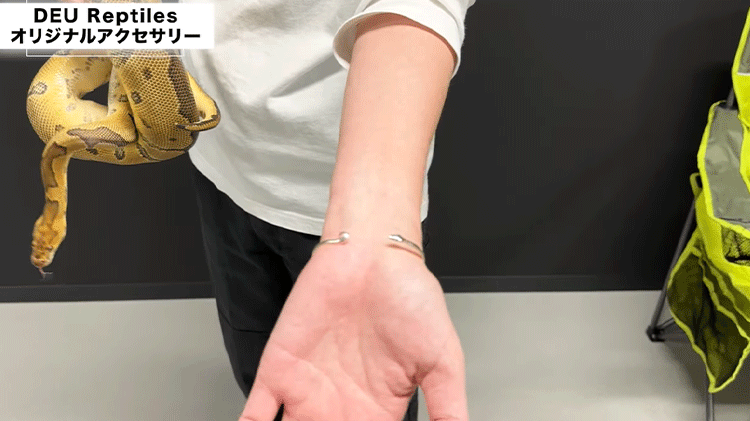 蛇にピアス】ついにオリジナルのヘビアクセサリー誕生 | ボール