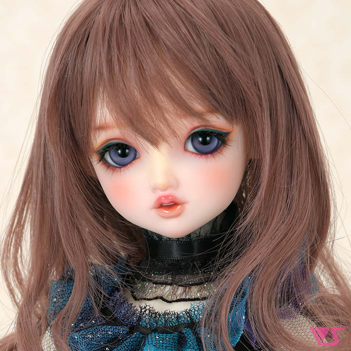 ディーラー専用 SD里帰りサービス | ドルパポータル | ボークス公式