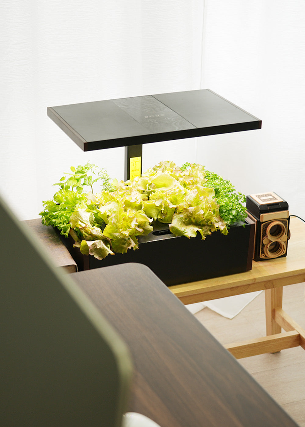 EastForce スマート水耕栽培キット 室内 水耕栽培 – EastForce 公式サイト