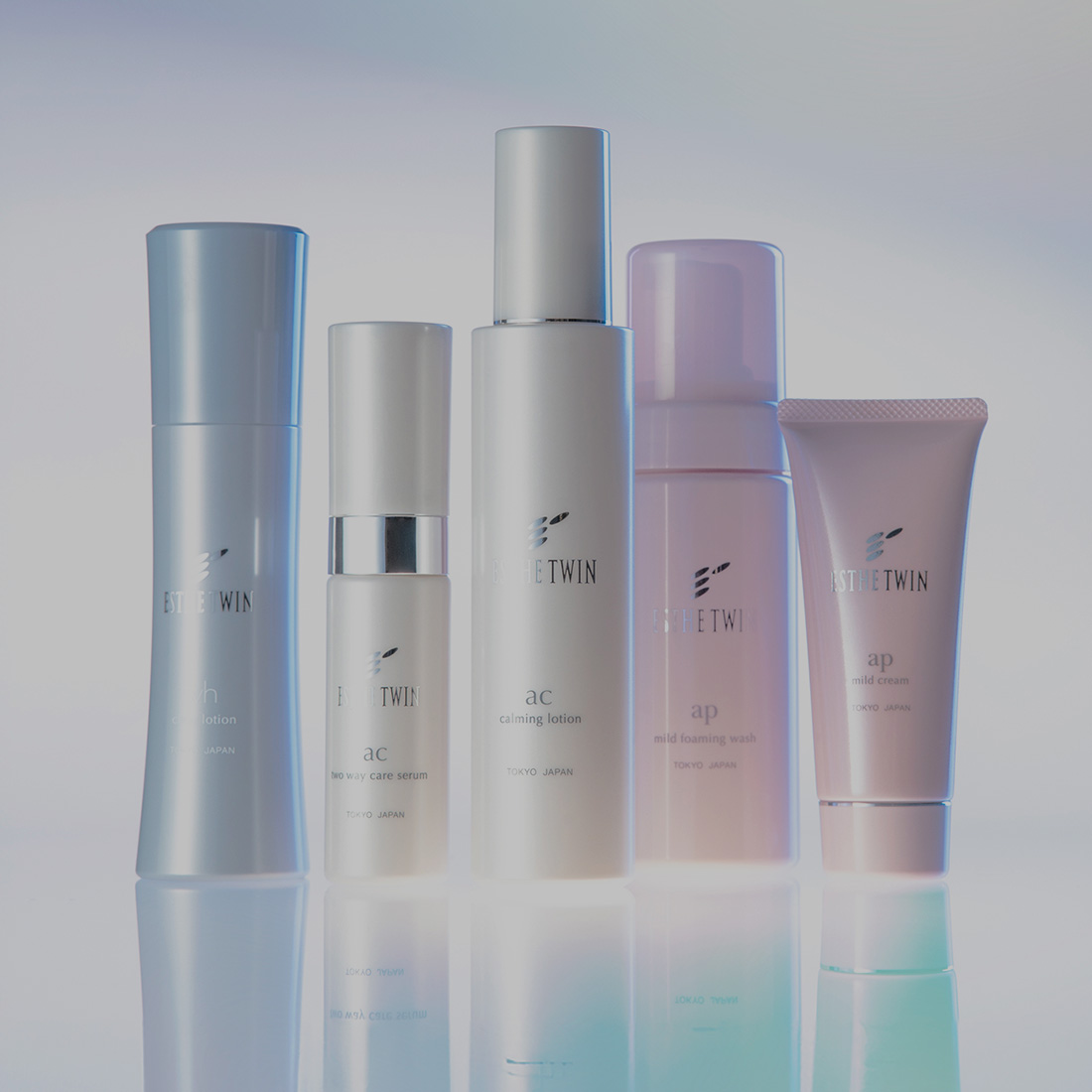 株式会社 エステツイン