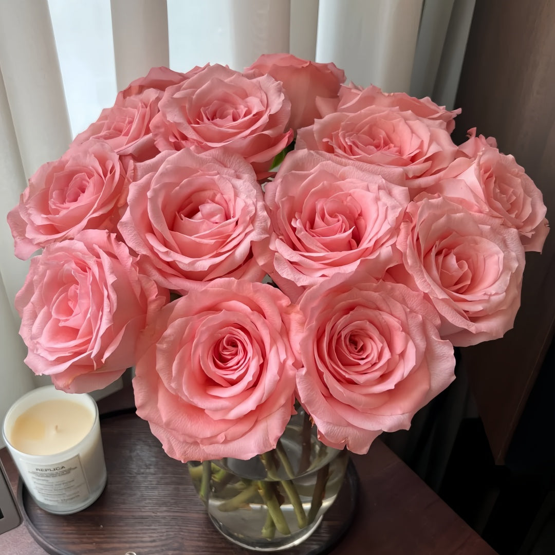 Diana Rose-戴安娜｜Chinese Cut Rose – Ergongzy Roses