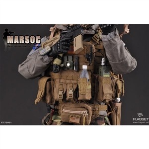 1/6 Flagset MARSOC Special Operations Command (73001) · Fairway