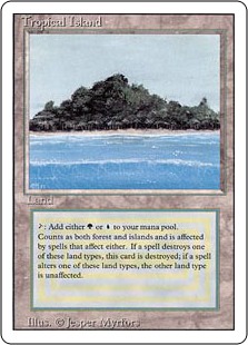 Tropical Island》[2ED] 土地R | 日本最大級 MTG通販サイト「晴れる屋」
