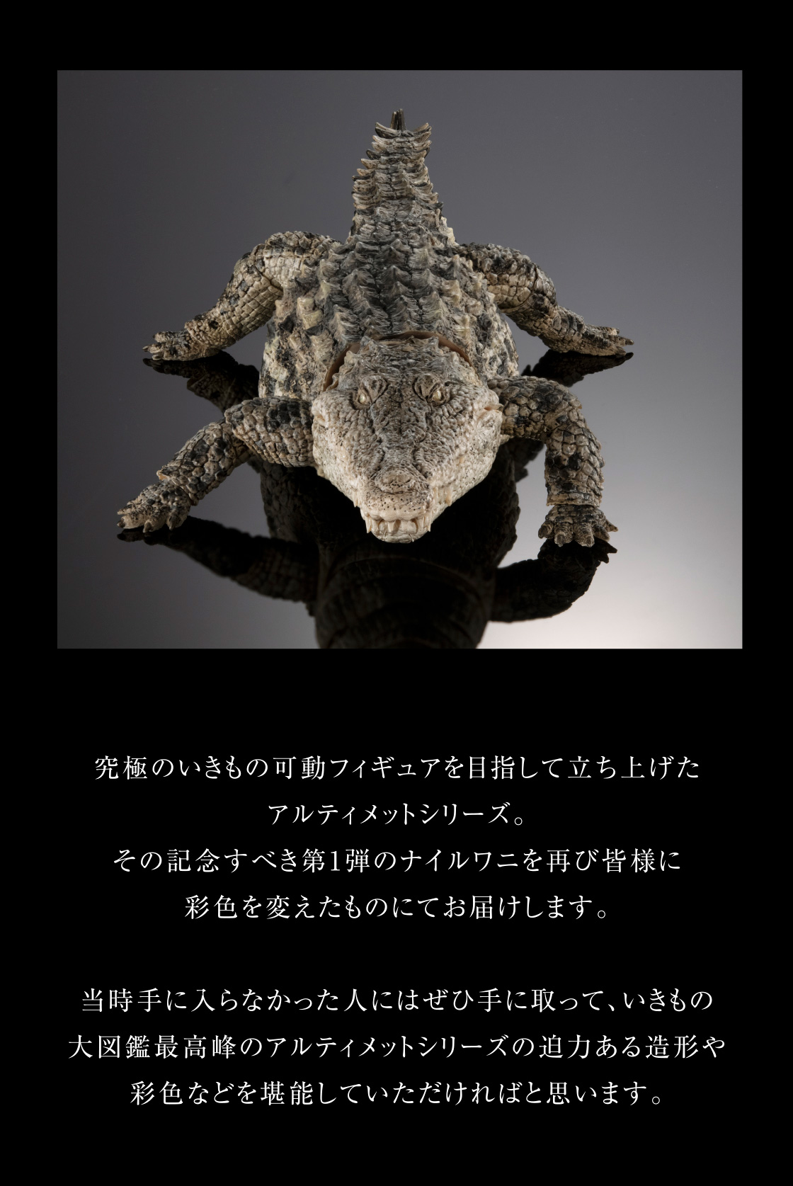 いきもの大図鑑 アルティメット ナイルワニ（ライトカラー）｜いきもの