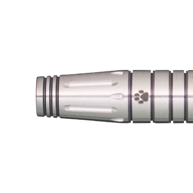 ターゲット チャーム カノン 2.0 Target CHARM KANON 2.0 ダーツ