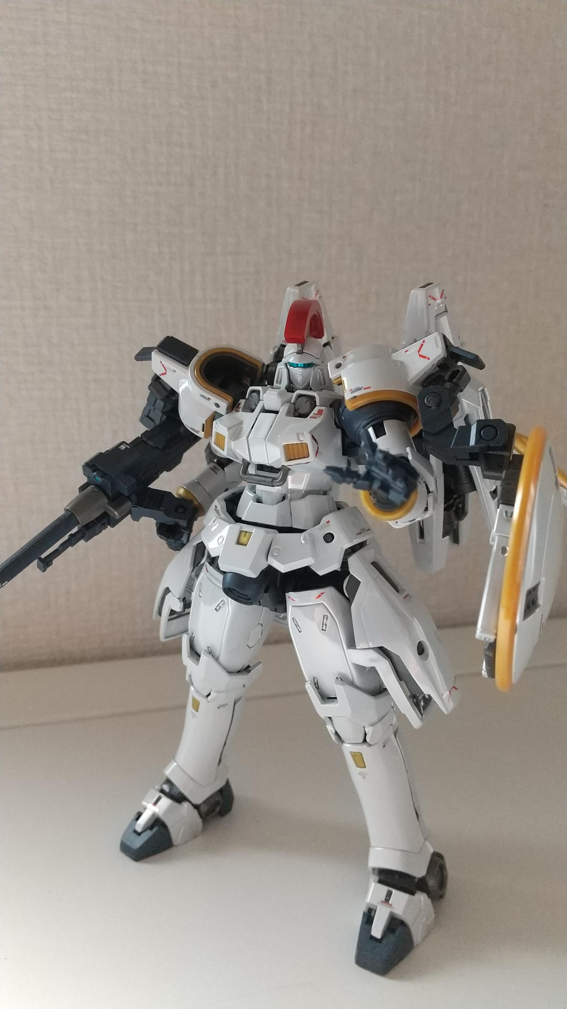RGトールギス＆トールギスⅡ｜しゅんしゅんさんのガンプラ作品｜GUNSTA