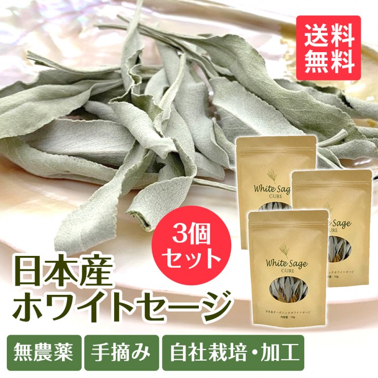 日本産 ホワイトセージ 枝付き 約10g Japanese white sage - LIANA