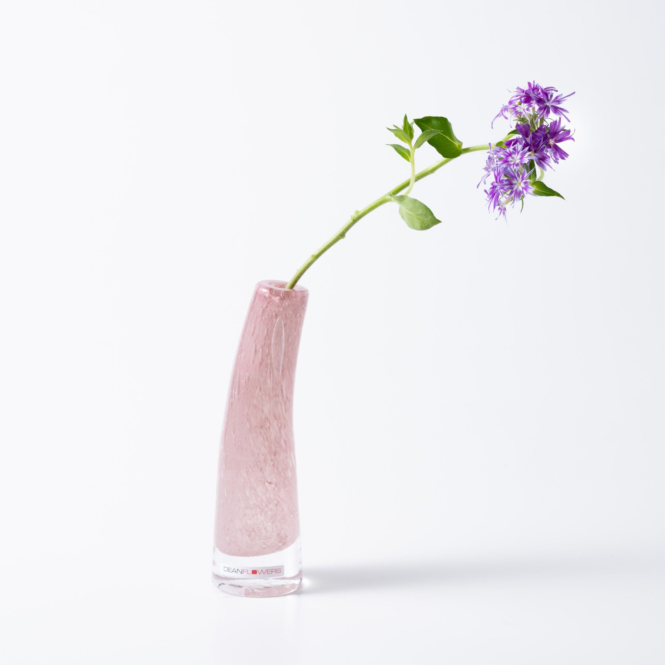 Grass S ブロッサム