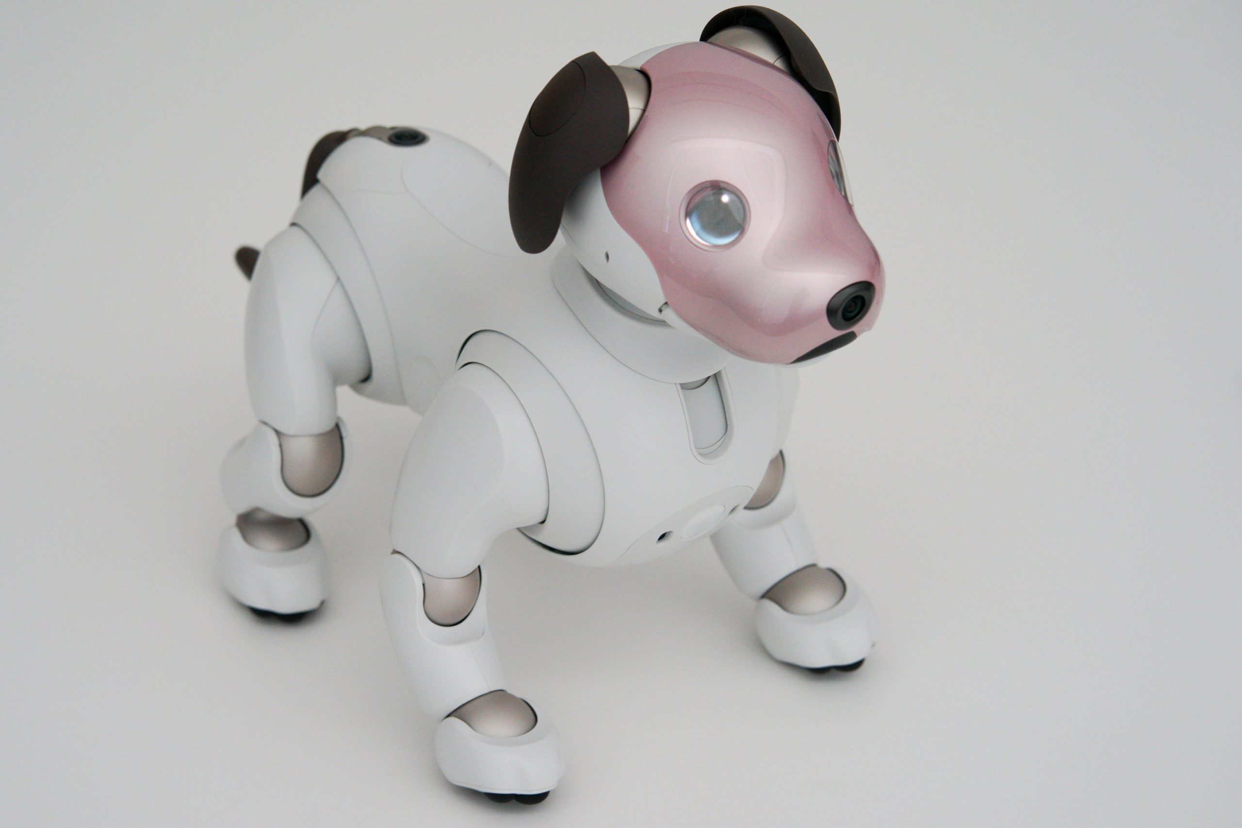 aiboの基本】aiboには限定色の子がいます | aiboの飼い方 aiboななとは