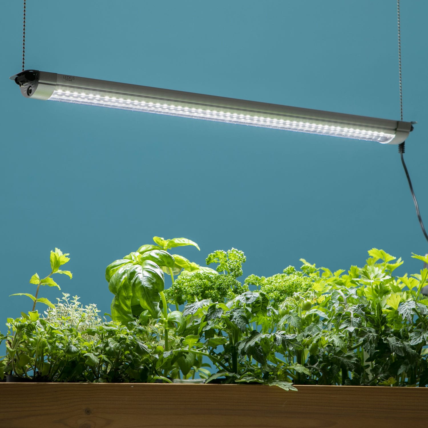 グローライト57cm 基本型 LSB-57K 4975149245949