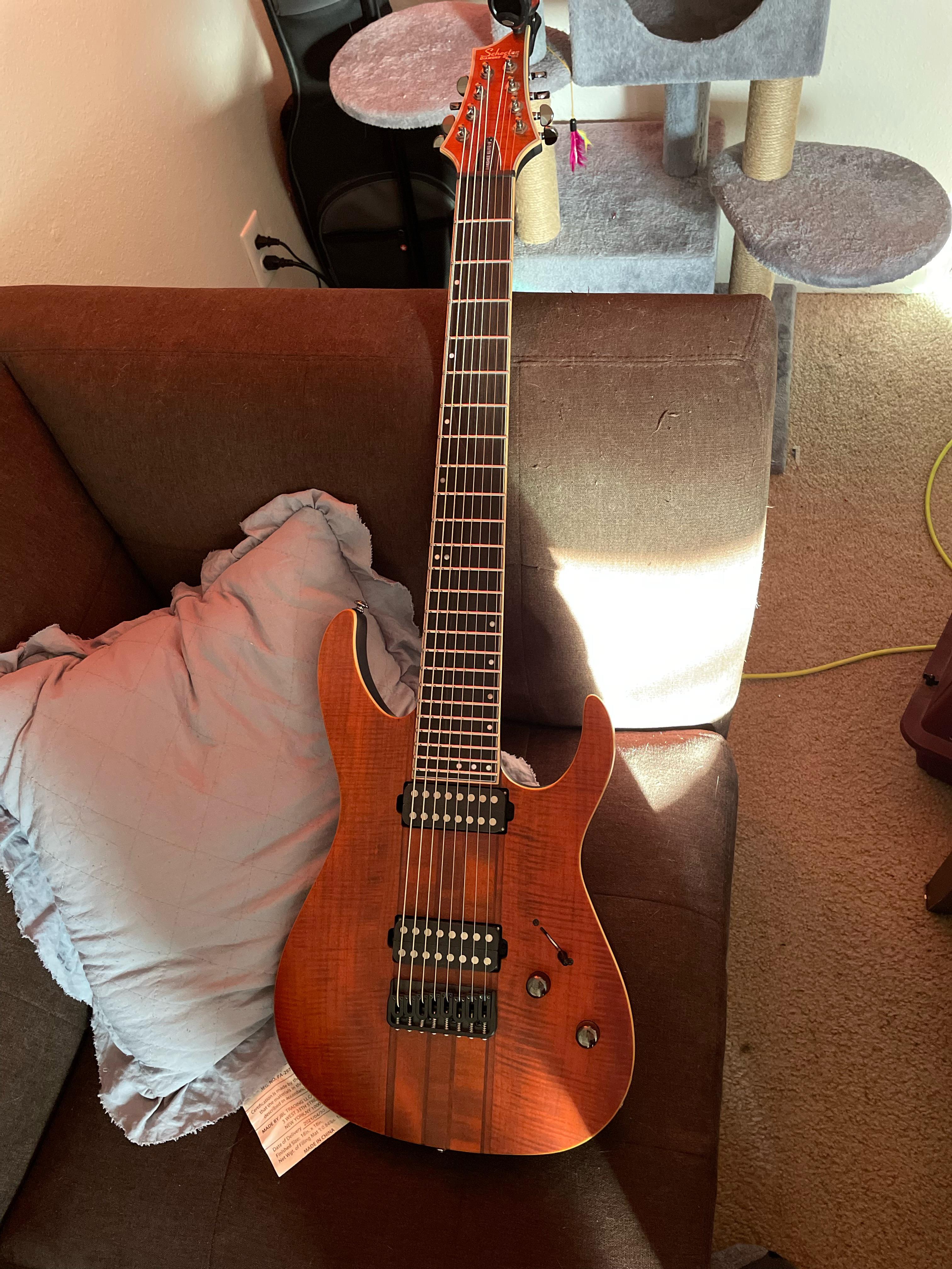 Schecter Banshee Elite-8, just cleaned the fretboard & restrung