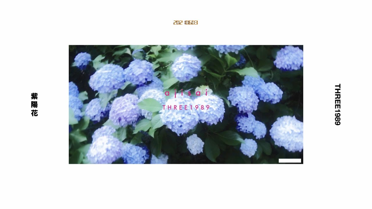 紫陽花 / THREE1989 (Lyric Video) - YouTube