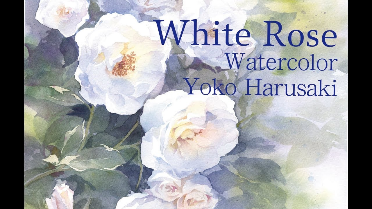 watercolor [White Rose] Yoko Harusaki 水彩画 白い 薔薇の描き方 3