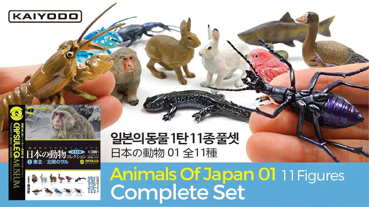 Animals Of Japan Vol.01 : TOHOKU / 日本の動物コレクション1 : 東北