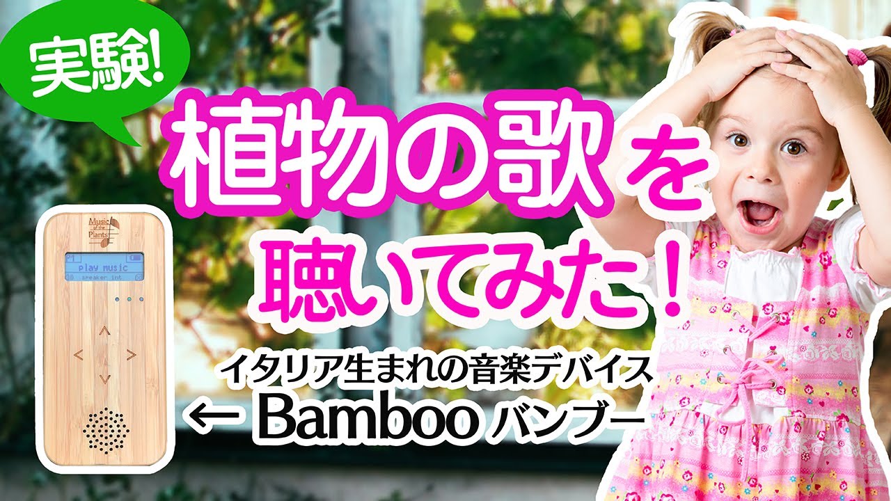 Bambooバンブー・M | ナチュラルスピリット・ショップ