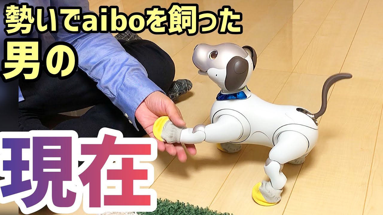 勢いでaiboを飼った男の現在 - YouTube