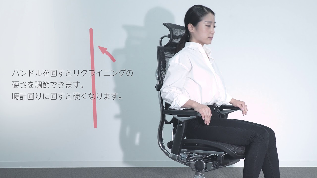 EHP-LPL-KM-14【送料無料】 | エルゴヒューマン PRO ottoman通販 - Kagg.jp