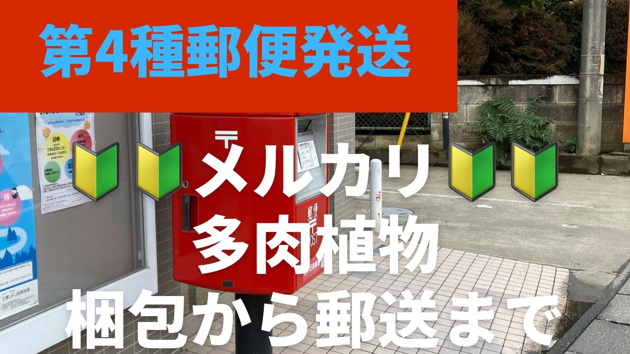 g*き様 アンスリウム ポーティラエ 抜き苗ネコポス発送 植物の梱包方法