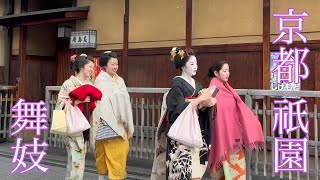 2025年1月31日 祇園花見小路を往く舞妓さんたち Maiko of Gion,Kyoto