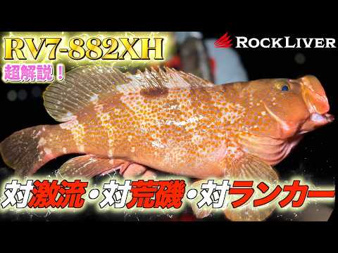 エンジョイソルト - YouTube