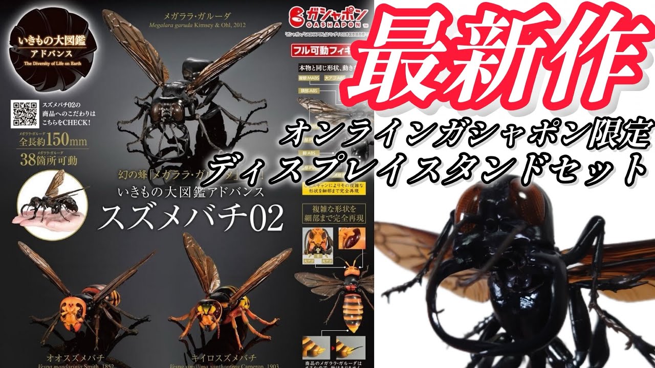 ガチャガチャ】いきもの大図鑑アドバンス『スズメバチ02』オンライン