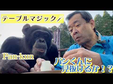 パンくん宮沢さんTV - YouTube