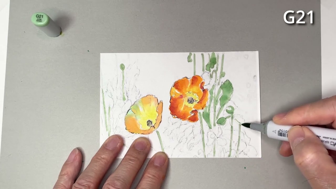 コピック・アート花シリーズ ポピーの描き方 - YouTube