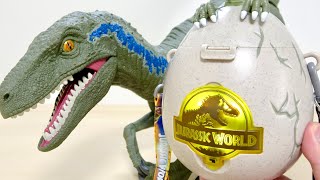 卵から恐竜が誕生! USJ ジュラシックワールドポップコーンバケツが