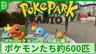 Around 600 Pokémon are in the 