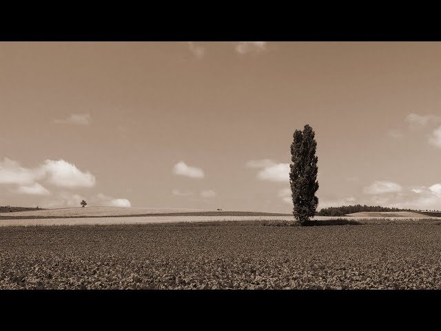 大空と大地の中で - 松山千春（フル） - YouTube