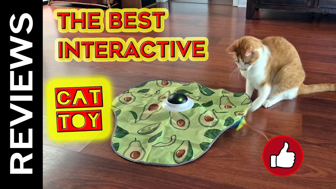 The Best Interactive Cat Toy Ever !!! - YouTube