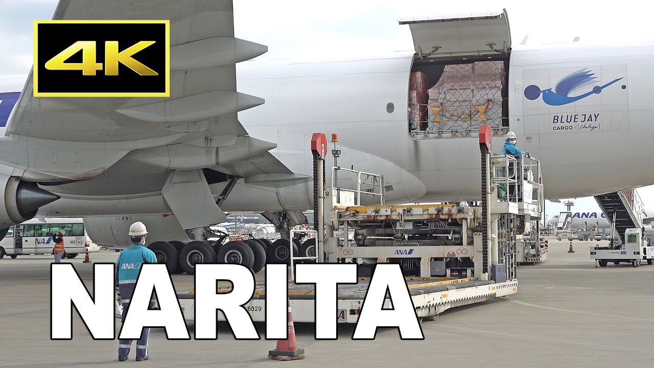 4K] Cargo Unloading - ANA Cargo Boeing 777-F at Tokyo Narita