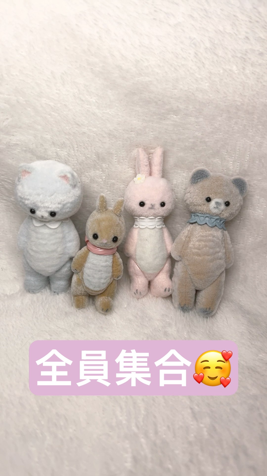 moriのえほん 小さい動物たち》ぬいぐるみ作家 森田寛子さんのガチャ