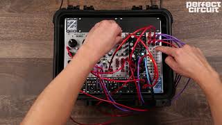 Intellijel Steppy - Eurorack Module on ModularGrid