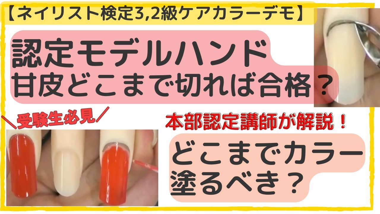 Nail Technician Certification Level 3 & 2] Certified Model Hand