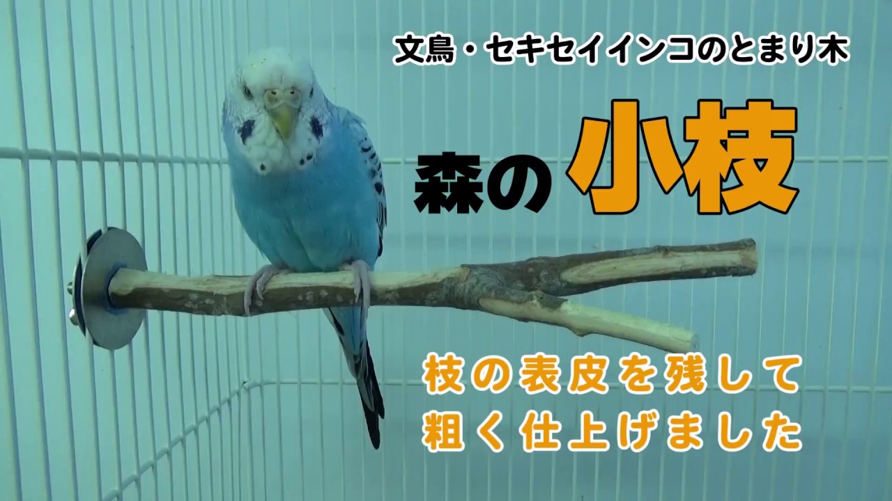 森の小枝 S│マルカンの製品一覧｜ペット用品ならマルカン